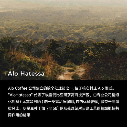 明谦西达摩ALO咖啡豆埃塞俄比亚手冲冰美式咖啡黑咖啡新鲜浅烘焙 商品图2