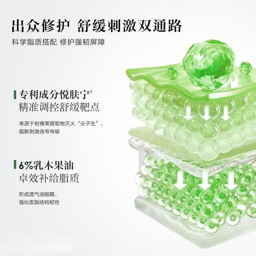 一叶子紧致修护精华乳30ml＋一叶子紧致修护精华水30ml 商品图5