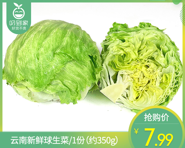 【叼鲜蔬】云南新鲜球生菜/1份（约350g）
