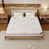 自然醒3E椰棕床垫-Z04 SA 商品缩略图7