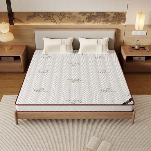 自然醒3E椰棕床垫-Z04 SA 商品图7