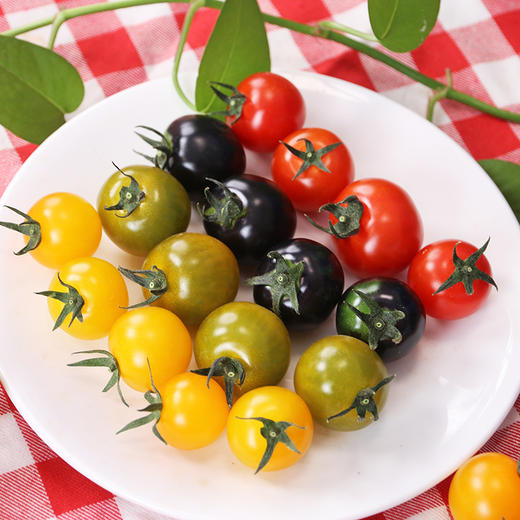 北京本地 番茄惊喜盒 多色混合装 汁水丰沛 酸甜可口 尝鲜必备 400g 商品图2