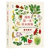 我的第一本草木图鉴([意]伊萨·瓜拉西诺 安娜·迈诺利/著 [意]丹妮拉·斯波托/绘 陈旻乐/译) 商品缩略图0