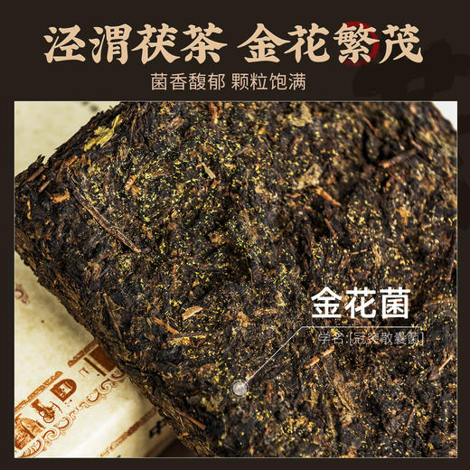【经典1368茯茶】陕西泾阳茯茶砖茶900g 金花伏茶砖正宗泾渭特色黑毛茶 商品图2