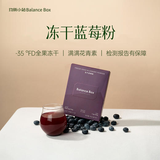 均衡小站 纯蓝莓粉 冻干果蔬粉维C花青素酸甜 冲泡粉便携小包装 商品图1