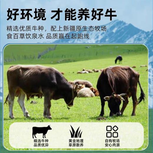 溯源地道【新疆吐鲁番褐牛】 肉质紧实 新鲜弹嫩 醇香无膻 顺丰冷链直达 商品图2