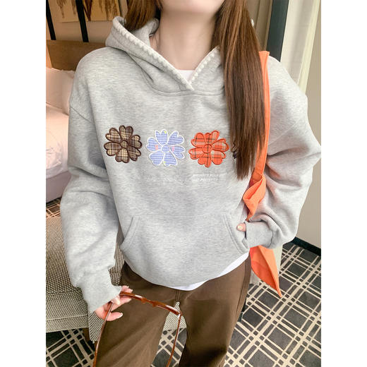 <曾小咸推荐>现货秒杀 ！微信超特价！韩系绣花加绒连帽卫衣 日常229.99 立减140 秒杀89.99！！ 商品图1