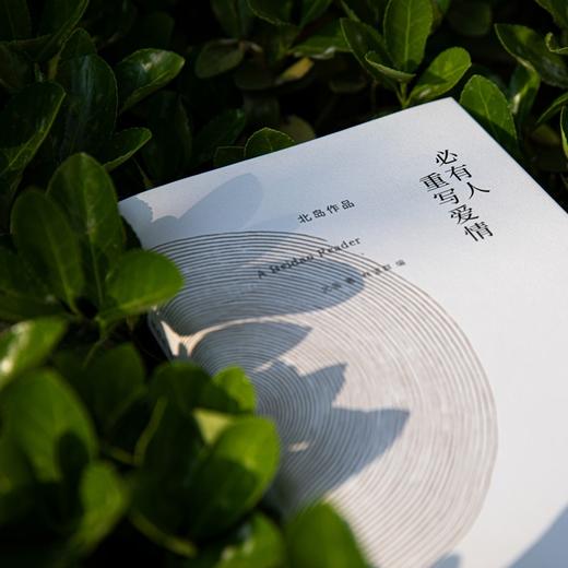 必有人重写爱情 商品图2