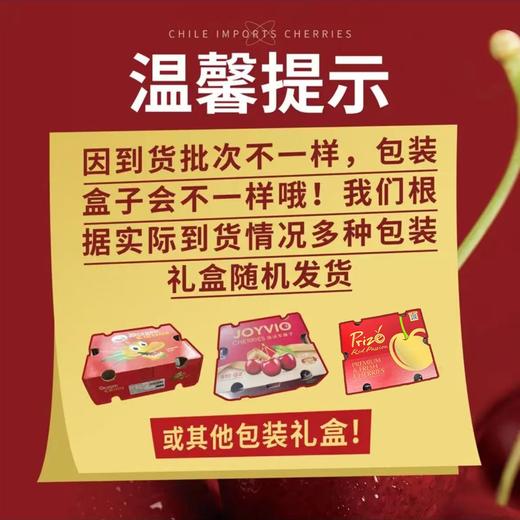 智利进口SANTINA桑缇娜车厘子 5斤礼盒装 顺丰京东发货 商品图8