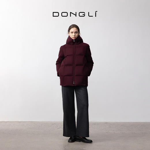 东黎 • 女士冬季短款连帽羽绒服 5428 商品图2