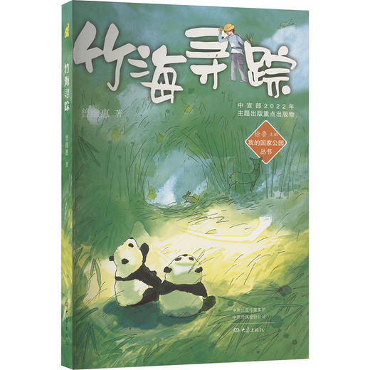 竹海寻踪 商品图0