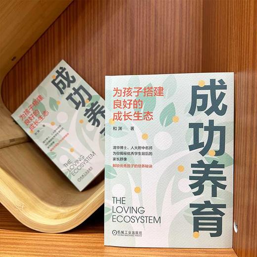 成功养育:为孩子搭建良好的成长生态 商品图1