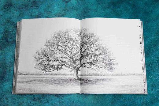 新森林志:遇见树木的科学.历史与艺术 商品图2