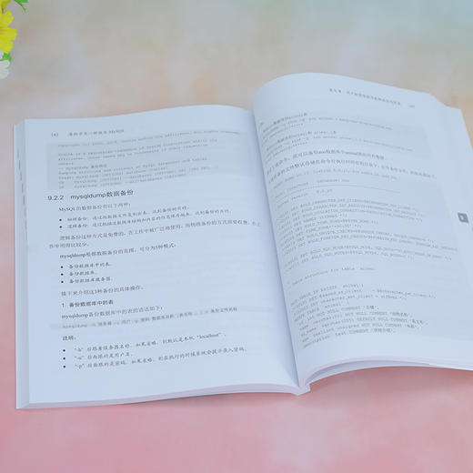 像程序员一样使用MySQL 商品图3