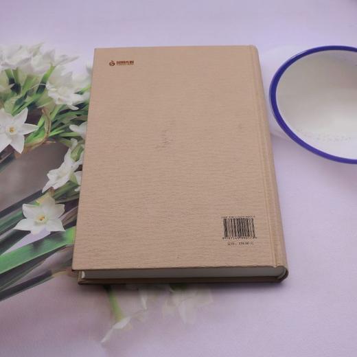 中国文学图像关系史.辽金元卷 商品图2