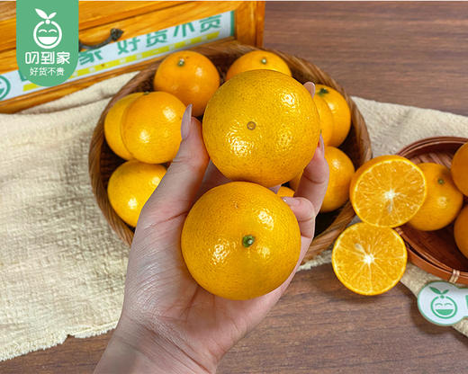 云南玲珑蜜柑/1份（1.25kg±75g）补单专用 商品图4