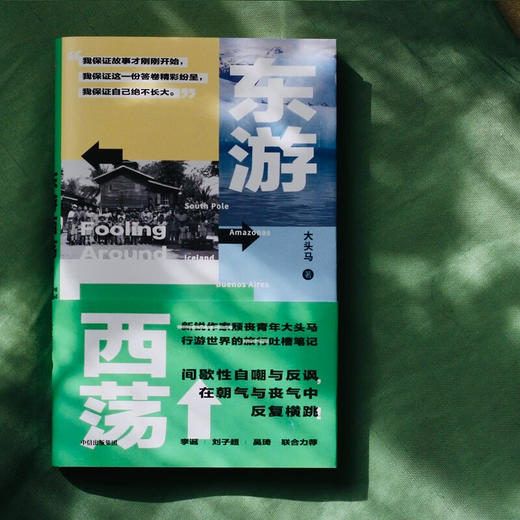 东游西荡 商品图4