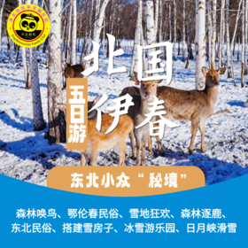 【2026寒假伊春 恬恬自组】这个隐世雪国才是冬季旅游天花板！不用人挤人玩转东北小众秘境！滑雪、唤鸟、森林追鹿、民俗体验.....伊春亲子5日游