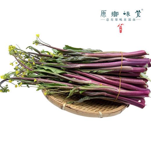 生态红菜苔（基地直发-顺丰包邮）| 3斤/件，来自湖北武汉，生产者：潘均【合作生产，公平贸易】 商品图6