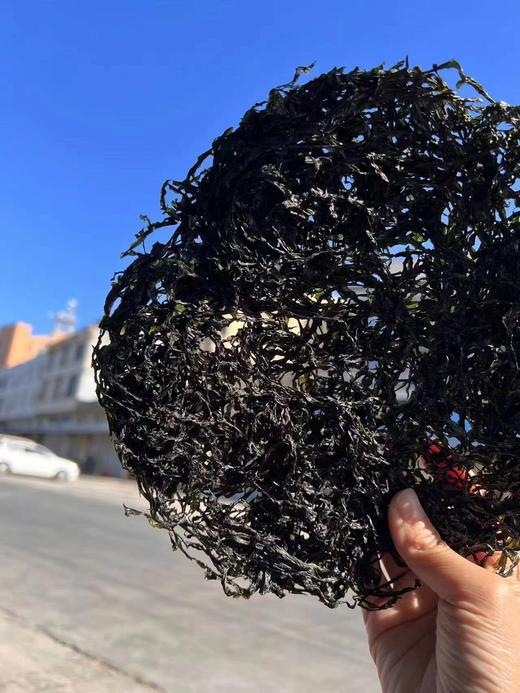 东山头水紫菜 头茬嫩芽 尝鲜正当时 自然晾晒锁住本味 无沙免洗 煮汤鲜香四溢，巨好吃！！ 商品图1