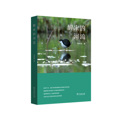 醒来的河流 商品图0