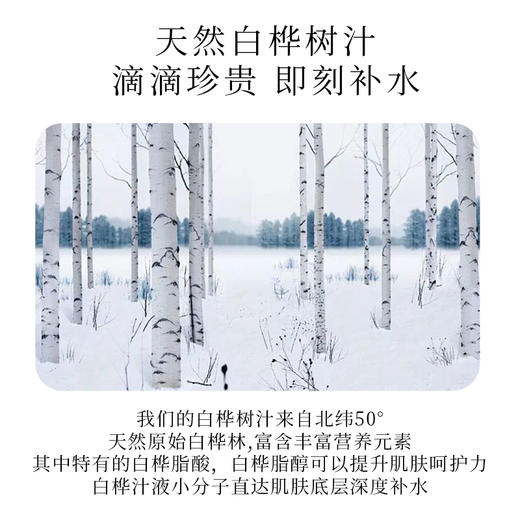 最北醉美白桦树汁舒缓紧致面膜女士男士面膜 商品图7