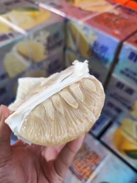 长坝沙田柚 肉质细嫩 口感纯甜无酸！