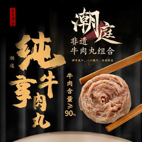 【自营】潮庭正宗非遗牛肉丸组合 YT