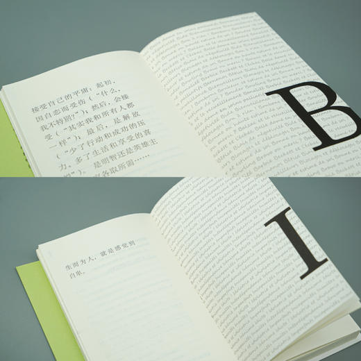 自尊与自忘 （守望者·心自在） 商品图4