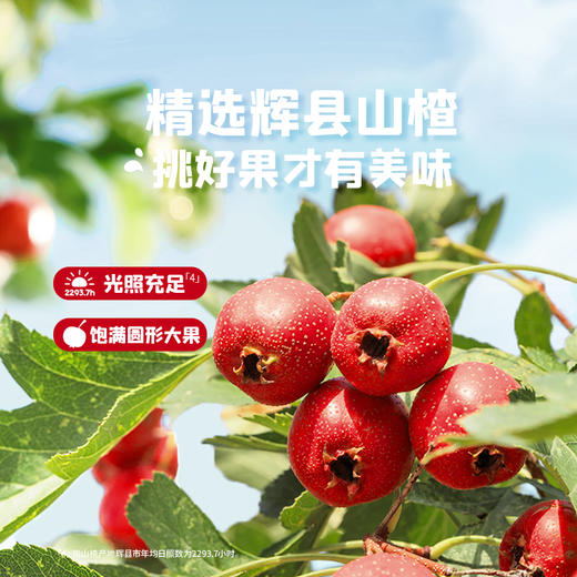 英氏忆小口酸奶山楂片【89元任选5件+5件礼品】 商品图5