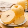 【国安农业出品】信农宜食维纳斯黄金苹果礼盒10粒装（75-80果） 商品缩略图1