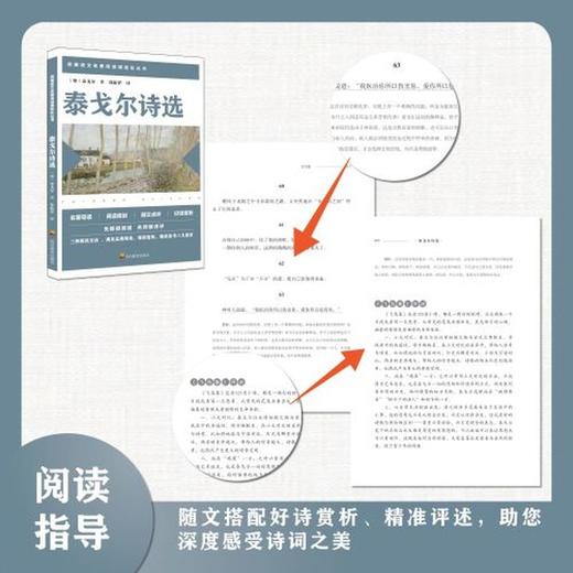 泰戈尔诗选 商品图3