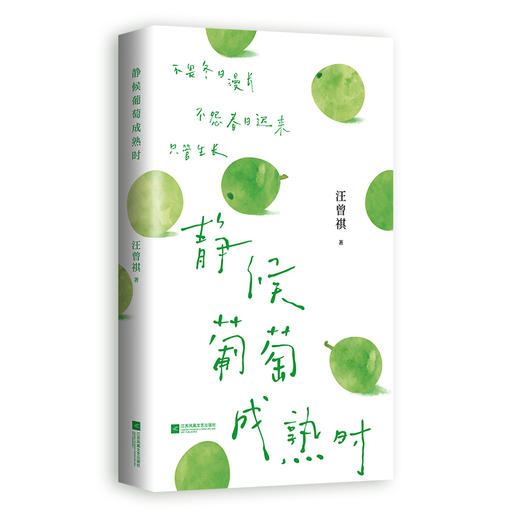 静候葡萄成熟时 汪曾祺散文精选 商品图4