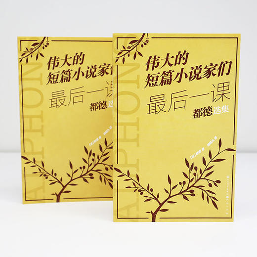 最后一课:都德选集 商品图3