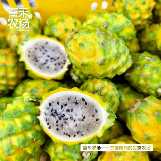 喜禾农场海南燕窝果 2斤装6个 | 清甜可口、口感独特、如“燕窝”般丝滑~ 商品图0