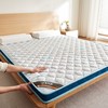 自然醒亲肤3E椰棕泰国乳胶床垫-格调蓝 SA 商品缩略图8