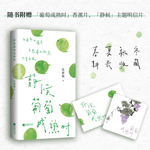 静候葡萄成熟时 汪曾祺散文精选 商品图2