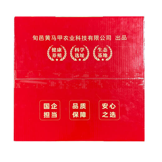 黄马甲黑鸡可生食蛋60枚 商品图2