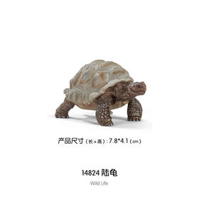 思乐 陆龟SCHC14824