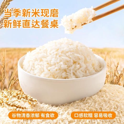 年货 黑龙江有机胚芽米2.5kg/包   留胚醇香软糯 商品图1