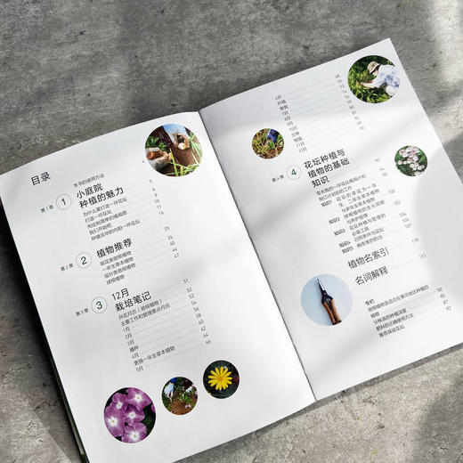 小庭院花坛12月栽培笔记  [日] 河野义雄([日] 河野义雄) 商品图3
