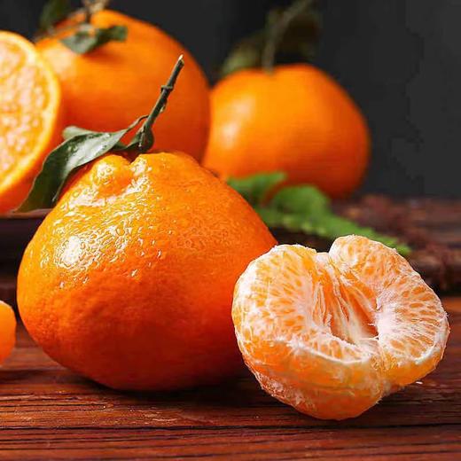 宜昌 长阳岩松坪清江碰柑 商品图5