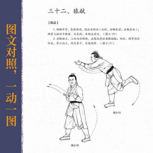 五禽戏 商品图2