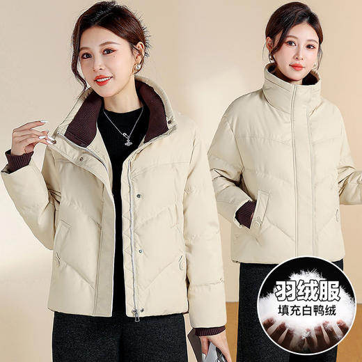 QYM 25D170拼接立领时尚羽绒服休闲洋气显瘦白鸭绒外套 商品图0