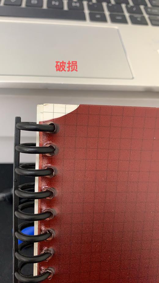 6974906809156 科颜氏KIEHL’S 科颜氏蛇年CNY本子 商品图2