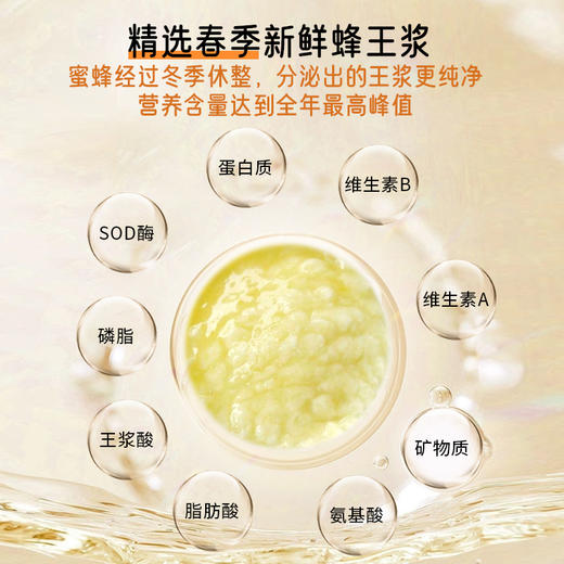 中蜜蜂三宝蜂蜜蜂王浆蜂花粉200g 4盒 商品图4