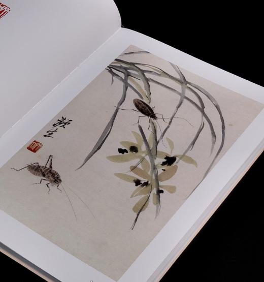 【特惠】《齐白石傅抱石册页精品集》+《徐悲鸿册页精品集》，16开软精装，刘玉党编，河北教育出版社，2016年一版一印，总定价：276，售价：69。 商品图6