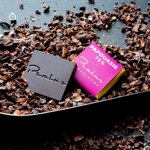 企鹅市集|法国Pralus普阿鲁斯巧克力 单源产地 10产地20小片品鉴组合 礼盒装100g 商品图1