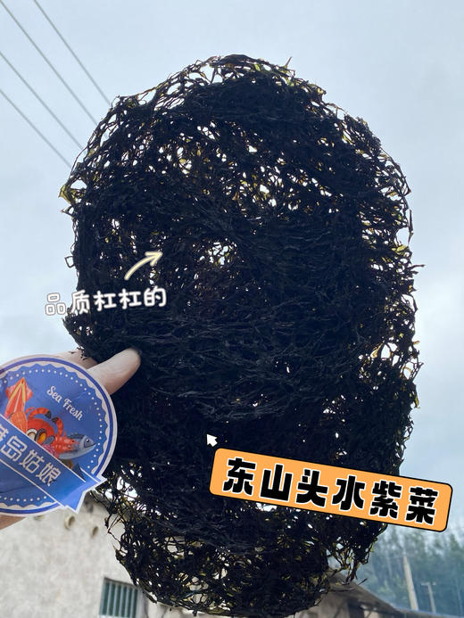 东山头水紫菜 头茬嫩芽 尝鲜正当时 自然晾晒锁住本味 无沙免洗 煮汤鲜香四溢，巨好吃！！ 商品图0