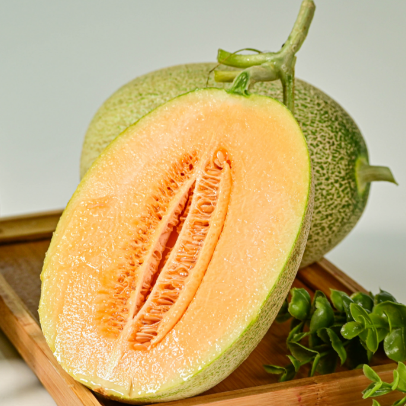 海南海沙蜜瓜【精选头茬超级蜜瓜，一藤一瓜】